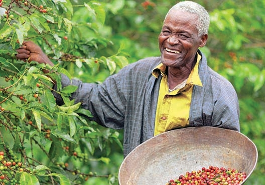 More of our key products